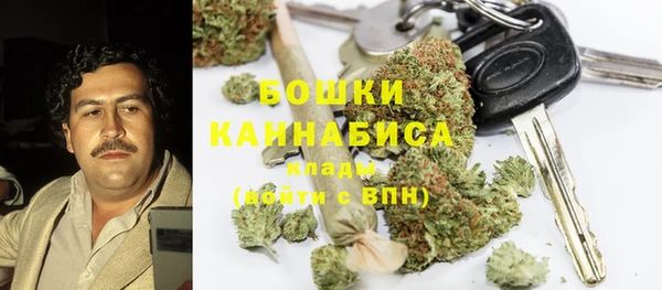 крисы Алзамай