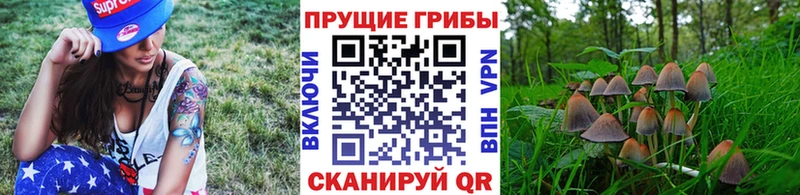 это как зайти  Полевской  Псилоцибиновые грибы Psilocybine cubensis  купить наркотик 