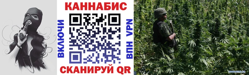 Бошки Шишки семена  ОМГ ОМГ ТОР  Полевской  купить  цена 